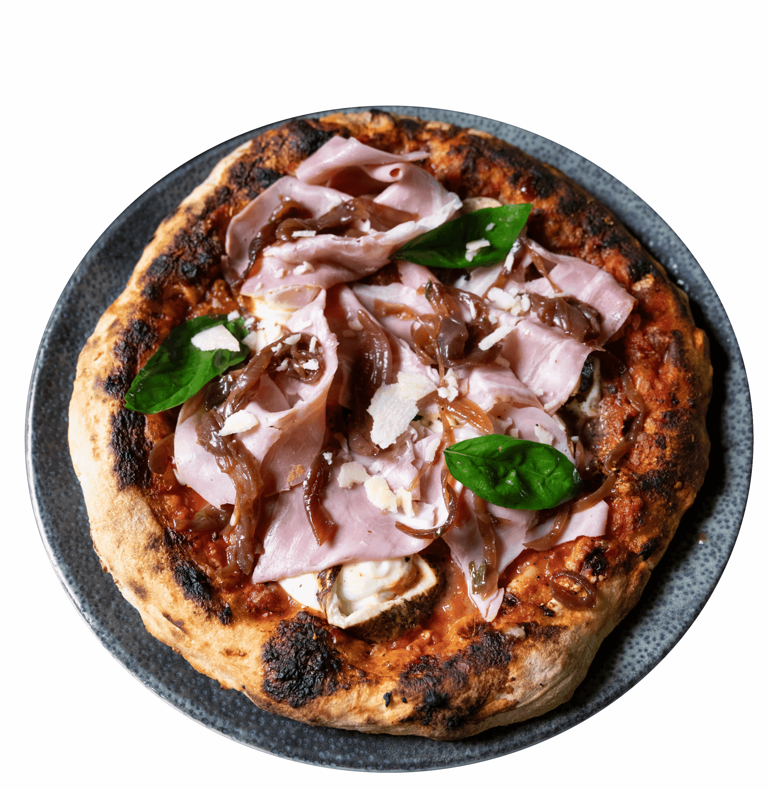 Cipollina